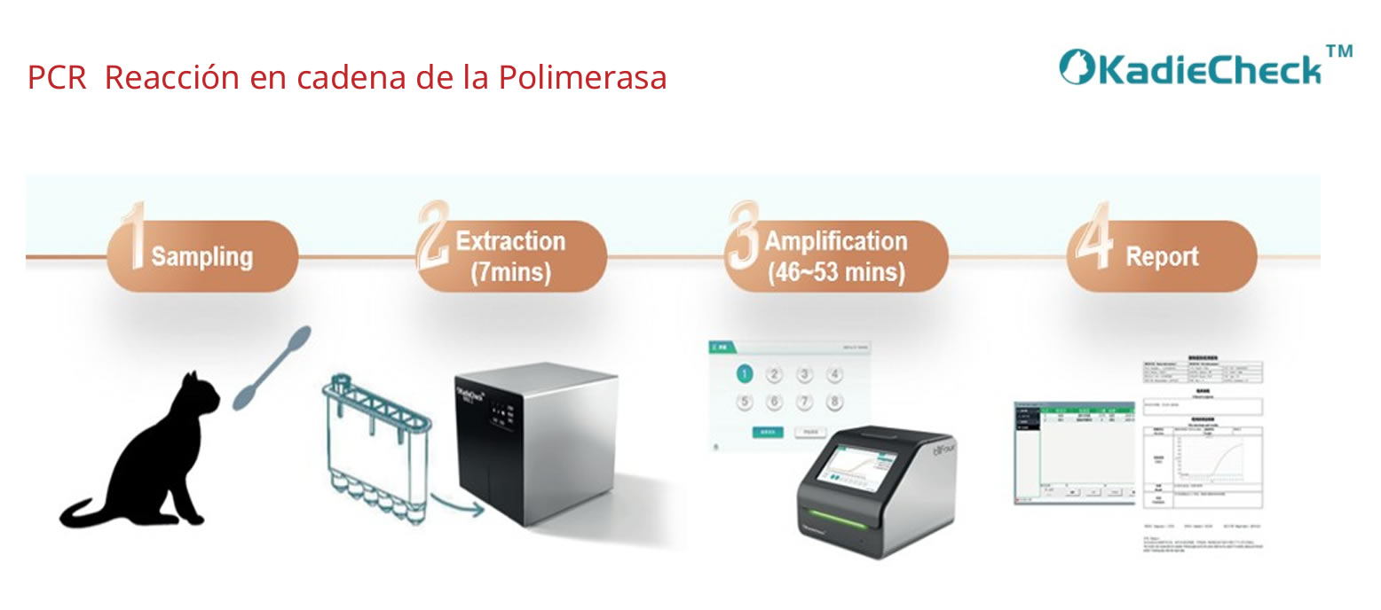 Vet Plus Life Point Of Care Test